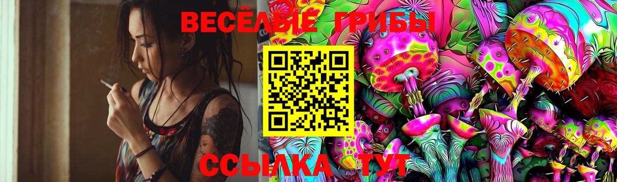 Псилоцибиновые грибы прущие грибы Каменск-Уральский